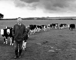 World of James Herriot