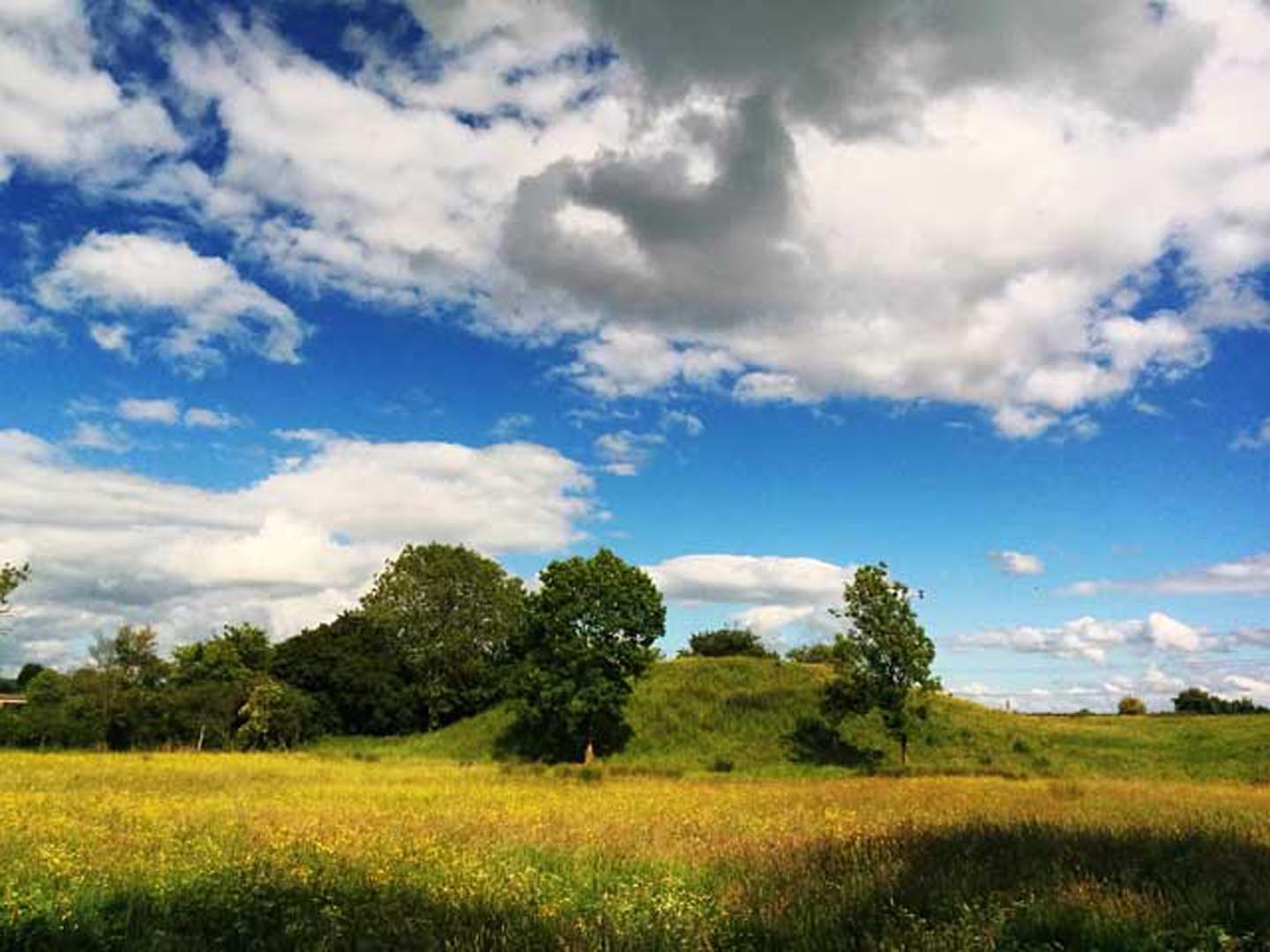 Weather